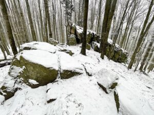 09.01.2021 Świętokrzyski Park Narodowy. Bukowa Góra / Jarosław Kubalski / Radio Kielce