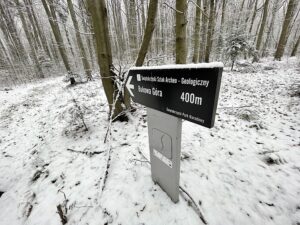 09.01.2021 Świętokrzyski Park Narodowy. Bukowa Góra / Jarosław Kubalski / Radio Kielce