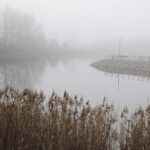 04.01.2021. Lipowica. Tereny zbiornika wodnego w Lipowicy / Jarosław Kubalski / Radio Kielce