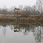 04.01.2021. Lipowica. Tereny zbiornika wodnego w Lipowicy / Jarosław Kubalski / Radio Kielce