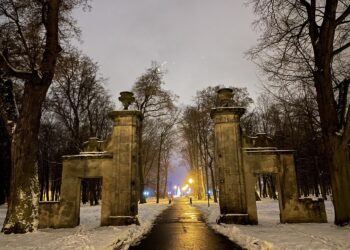 29.01.2021 Końskie. Park miejski / Magda Galas-Klusek / Radio Kielce