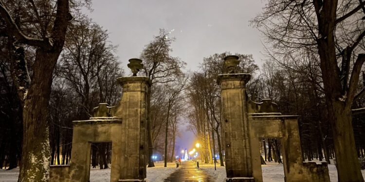 29.01.2021 Końskie. Park miejski / Magda Galas-Klusek / Radio Kielce