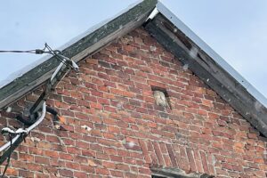 Dyszów. Dom, którego jedna ze ścian zbudowana została z cerkiewnych cegieł. Ciekawostką jest wmurowana w szczycie ściany twarz Jezusa Chrystusa. Monument również pochodzi z koneckiej cerkwi / Magdalena Galas-Klusek / Radio Kielce