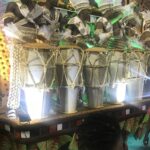 Karnawał w Rio de Janeiro 2020 / Tomasz Kowalski