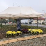 31.10.2020. Sandomierz. Cmentarz komunalny / Grażyna Szlęzak-Wójcik / Radio Kielce