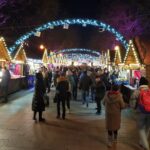 Muzyczne podróże. Lwów / Iwona Witek