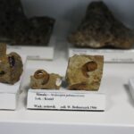 28.01.2021 Kielce. Państwowy Instytut Geologiczny. Oddział świętokrzyski. Ekspozycja / Jarosław Kubalski / Radio Kielce