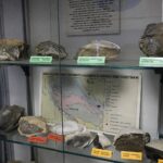 28.01.2021 Kielce. Państwowy Instytut Geologiczny. Oddział świętokrzyski. Ekspozycja / Jarosław Kubalski / Radio Kielce