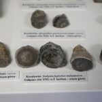 28.01.2021 Kielce. Państwowy Instytut Geologiczny. Oddział świętokrzyski. Ekspozycja / Jarosław Kubalski / Radio Kielce