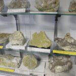 28.01.2021 Kielce. Państwowy Instytut Geologiczny. Oddział świętokrzyski. Ekspozycja / Jarosław Kubalski / Radio Kielce