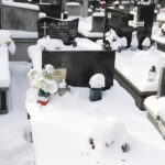 15.01.2021 Kielce. Cmentarz Stary. Nagrobek Wacława Niesłuchowskiego, żołnierza m.in Brygady Legionów / Jarosław Kubalski / Radio Kielce