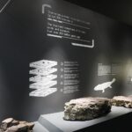 29.01.2021 Kielce. Geopark. Centrum Geoedukacji. Ekspozycja / Jarosław Kubalski / Radio Kielce