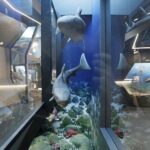 29.01.2021 Kielce. Geopark. Centrum Geoedukacji. Ekspozycja / Jarosław Kubalski / Radio Kielce