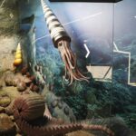 29.01.2021 Kielce. Geopark. Centrum Geoedukacji. Ekspozycja / Jarosław Kubalski / Radio Kielce