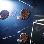 29.01.2021 Kielce. Geopark. Centrum Geoedukacji. Ekspozycja. Amonity / Jarosław Kubalski / Radio Kielce