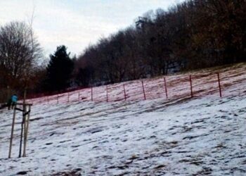 Urząd Dzielnicy Ochota/Facebook