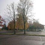 31.10.2020. Ostrowiec Świętokrzyski. Cmentarz komunalny / Emilia Sitarska / Radio Kielce