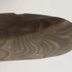 20.01.2021 Łosienek gmina Piekoszów. Siekierka z neolitu / Gmina Piekoszów - wczoraj i dziś