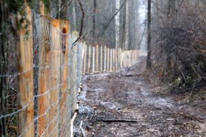 06.01.2021. Płot na terenie Nadleśnictwa Ostrowiec Świętokrzyski / Tadeusz Kita