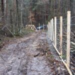 06.01.2021. Płot na terenie Nadleśnictwa Ostrowiec Świętokrzyski / Tadeusz Kita