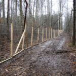 06.01.2021. Płot na terenie Nadleśnictwa Ostrowiec Świętokrzyski / Tadeusz Kita