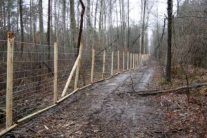 06.01.2021. Płot na terenie Nadleśnictwa Ostrowiec Świętokrzyski / Tadeusz Kita