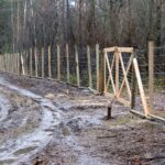 06.01.2021. Płot na terenie Nadleśnictwa Ostrowiec Świętokrzyski / Tadeusz Kita