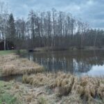 Stara Kuźnica / Magdalena Galas-Klusek / Radio Kielce