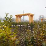 02.01.2021. Chęciny. Park miejski / Wiktor Taszłow / Radio Kielce