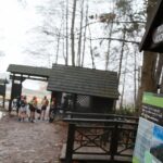 24.01.2021. Święta Katarzyna. Morsy wchodzą na Łysicę / Wiktor Taszłow / Radio Kielce