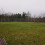 08.01.2021. Wymysłów. Szkoła Podstawowa w Wymysłowie / Emilia Sitarska / Radio Kielce