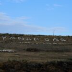 Azerbejdżan / Agnieszka Sowińska