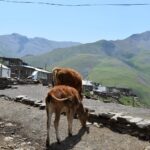 Azerbejdżan / Agnieszka Sowińska