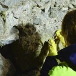 04.02.2021. Wiślica. Modernizacja Muzeum Archeologicznego / Muzeum Narodowe w Kielcach / Facebook