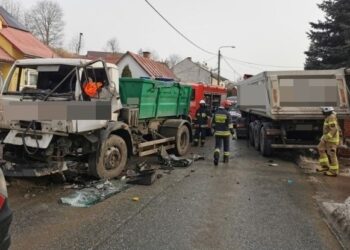 Zderzenie dwóch samochodów ciężarowych na drodze wojewódzkiej 756 z Łagowa do Nowej Słupi / Policja