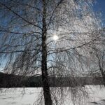 09.02.2021. Lutowiska. Mroźne i słoneczne przedpołudnie po intensywnych opadach śniegu w Lutowiskach w Bieszczadach / Darek Delmanowicz / PAP