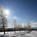 09.02.2021. Lutowiska. Mroźne i słoneczne przedpołudnie po intensywnych opadach śniegu w Lutowiskach w Bieszczadach / Darek Delmanowicz / PAP