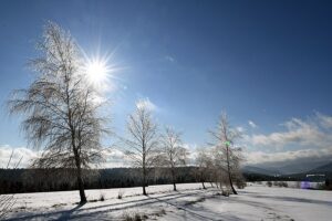 09.02.2021. Lutowiska. Mroźne i słoneczne przedpołudnie po intensywnych opadach śniegu w Lutowiskach w Bieszczadach / Darek Delmanowicz / PAP