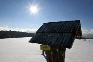 09.02.2021. Lutowiska. Mroźne i słoneczne przedpołudnie po intensywnych opadach śniegu w Lutowiskach w Bieszczadach / Darek Delmanowicz / PAP