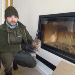 26.02.2021 Uratowana sowa / Archiwum Nadleśnictwa Radom