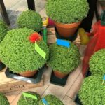 Porto / Bożena Woźniczka