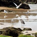 Maroko / Agnieszka Sowińska