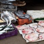 Maroko / Agnieszka Sowińska