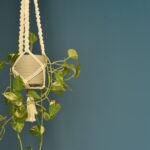 13.02.2021. Błotnica. Makramy Weroniki Banaś / Magdalena Galas-Klusek / Radio Kielce