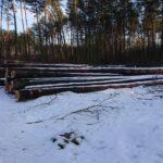 21.02.2021. Marcule. Przystanek kolejki wąskotorowej i skład drewna / Anna Głąb / Radio Kielce