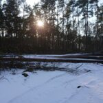 21.02.2021. Marcule. Przystanek kolejki wąskotorowej i skład drewna / Anna Głąb / Radio Kielce