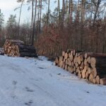 21.02.2021. Marcule. Przystanek kolejki wąskotorowej i skład drewna / Anna Głąb / Radio Kielce