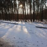 21.02.2021. Marcule. Przystanek kolejki wąskotorowej i skład drewna / Anna Głąb / Radio Kielce