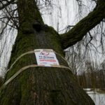 04.02.2021 Kielce. Konferencja radnych w sprawie rewitalizacji parku / Norbert Orłowicz / Radio Kielce