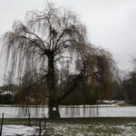 04.02.2021 Kielce. Konferencja radnych w sprawie rewitalizacji parku / Norbert Orłowicz / Radio Kielce